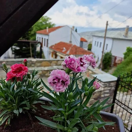 Venus Apartament *